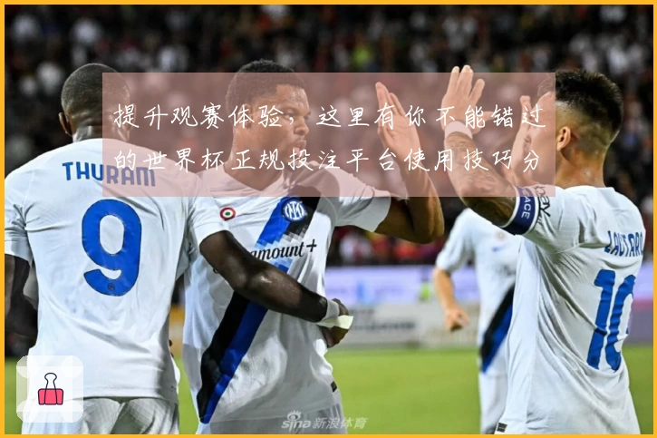 提升观赛体验，这里有你不能错过的世界杯正规投注平台使用技巧分享