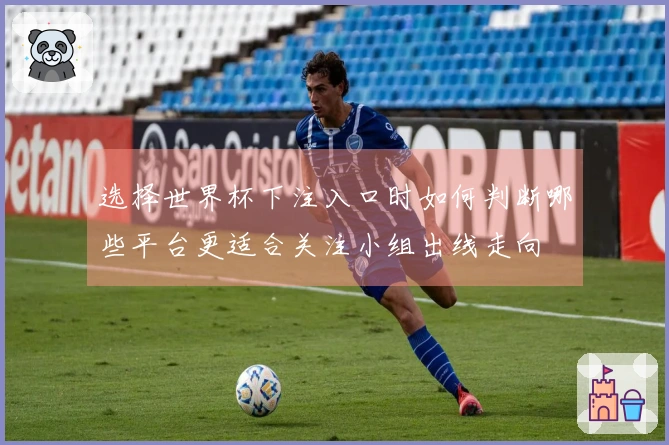 选择世界杯下注入口时如何判断哪些平台更适合关注小组出线走向