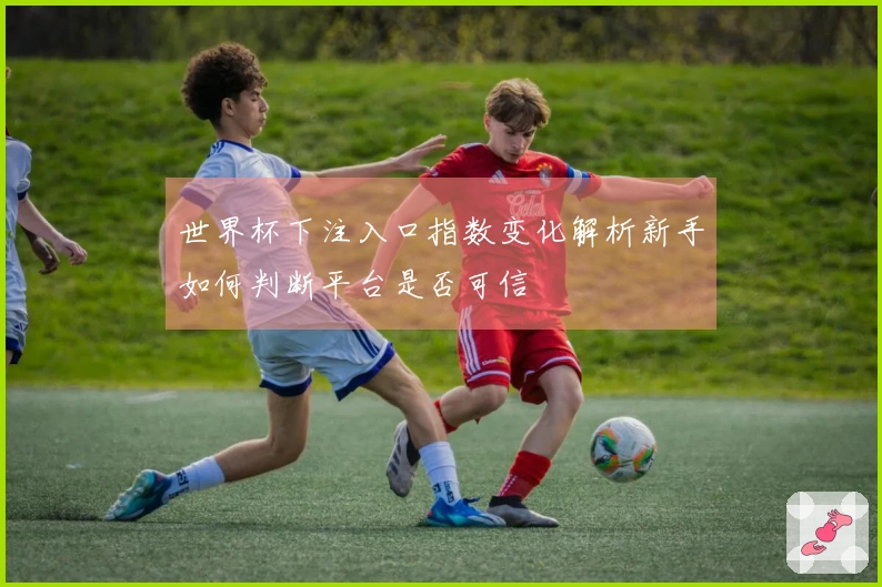 世界杯下注入口指数变化解析新手如何判断平台是否可信