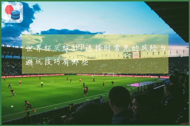 世界杯买球APP选择时常见的风险与避坑技巧有哪些