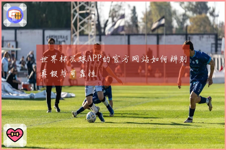 世界杯买球APP的官方网站如何辨别真假与可靠性