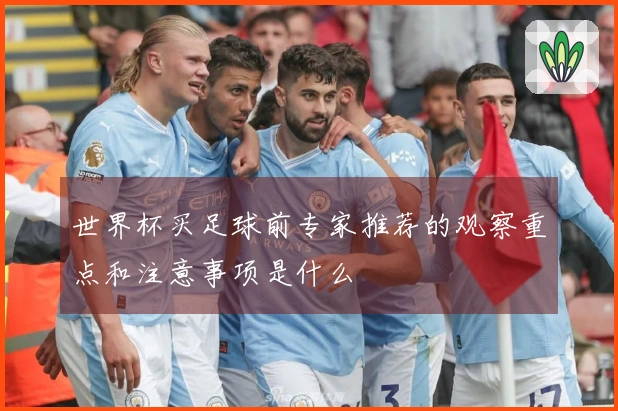 世界杯买足球前专家推荐的观察重点和注意事项是什么