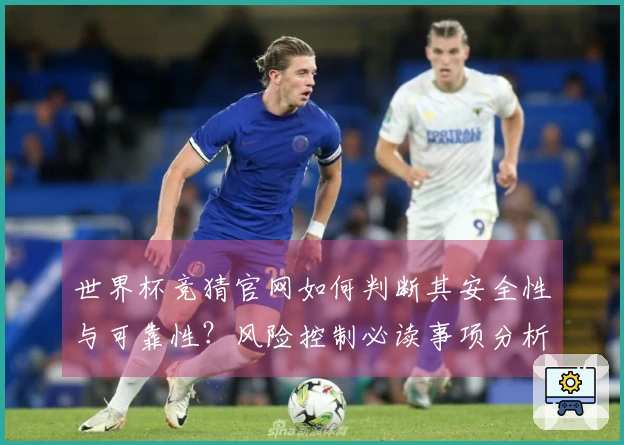世界杯竞猜官网如何判断其安全性与可靠性？风险控制必读事项分析