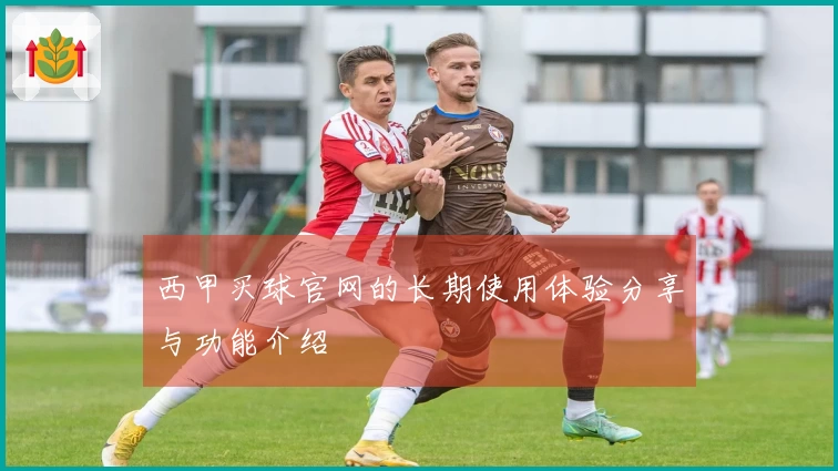 西甲买球官网的长期使用体验分享与功能介绍