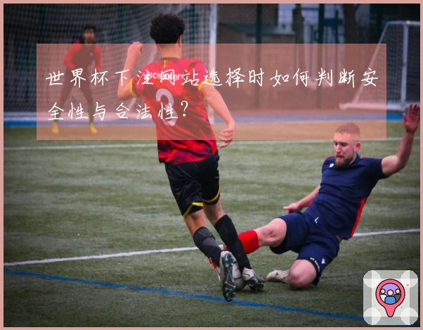 世界杯下注网站选择时如何判断安全性与合法性？