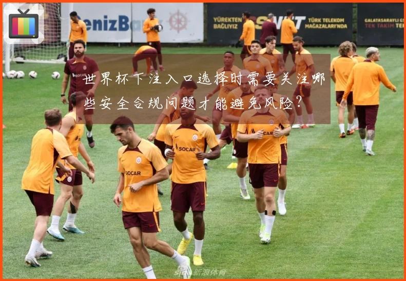 世界杯下注入口选择时需要关注哪些安全合规问题才能避免风险？