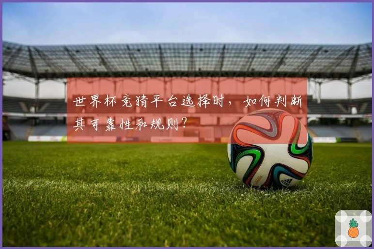 世界杯竞猜平台选择时，如何判断其可靠性和规则？