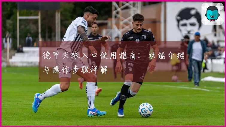 德甲买球入口使用指南：功能介绍与操作步骤详解