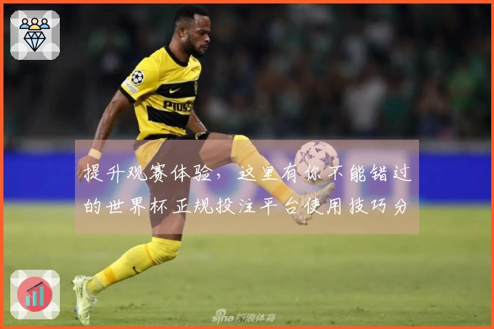 提升观赛体验，这里有你不能错过的世界杯正规投注平台使用技巧分享