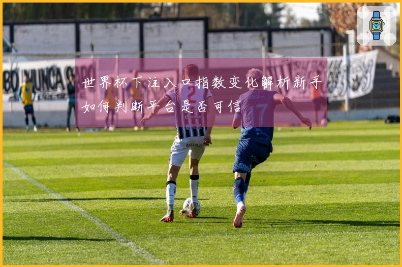 世界杯下注入口指数变化解析新手如何判断平台是否可信