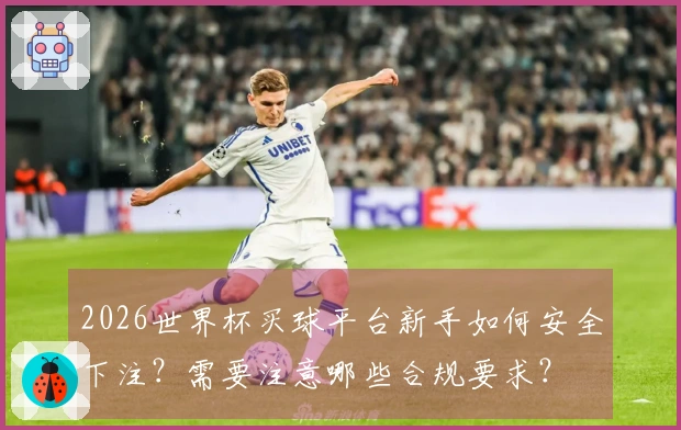 2026世界杯买球平台新手如何安全下注？需要注意哪些合规要求？