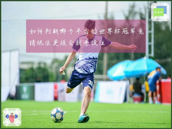 如何判断哪个平台的世界杯冠军竞猜玩法更适合新手投注