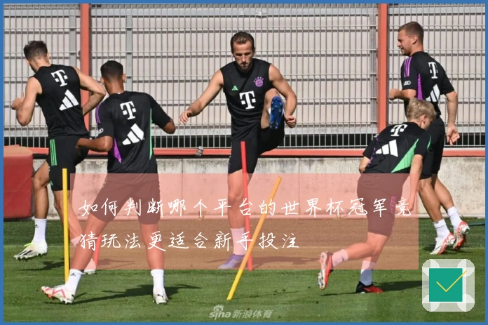如何判断哪个平台的世界杯冠军竞猜玩法更适合新手投注